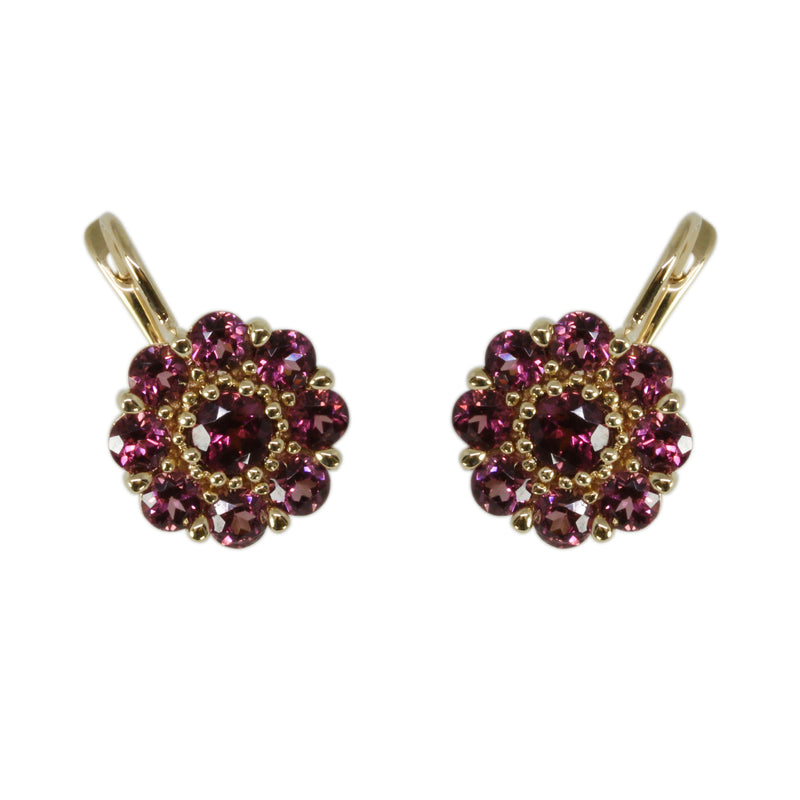 14k Gold Rhodolite Flower Earrings