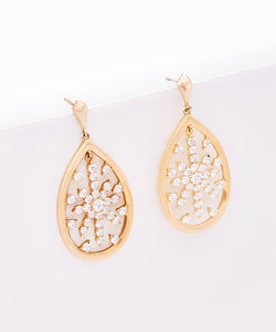 Plated SS & CZ Star Drop Earrings