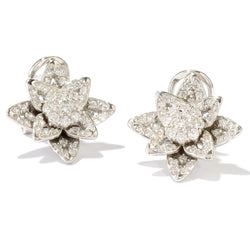 Platinum Plated Sterling Silver & Cz Star Earrings